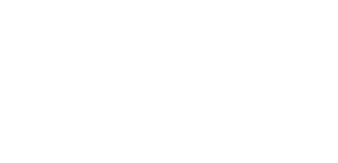 Eludicar